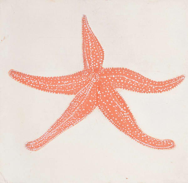 Kate Boxer, Starfish (Unframed)