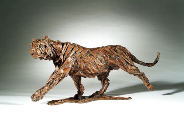 Claire Norrington, Tiger on the move