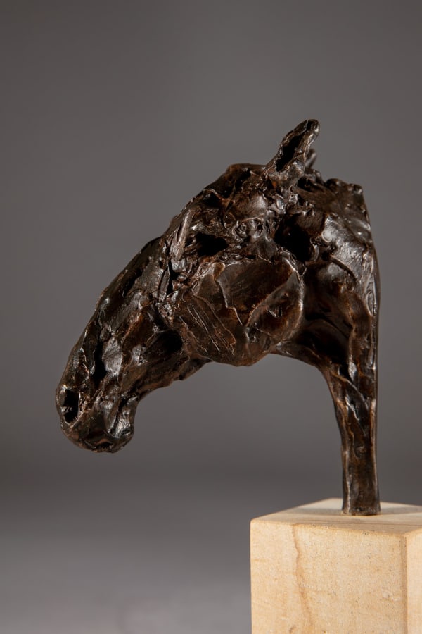 Jane Shaw, Roman Nose