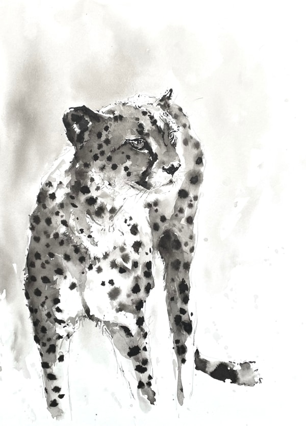 Julia Cassels, Cheetah