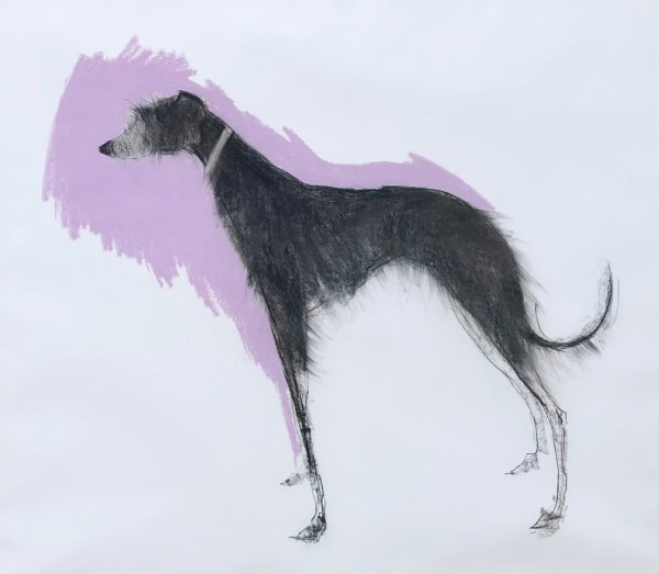 Sally Muir - Ottie (London Gallery)