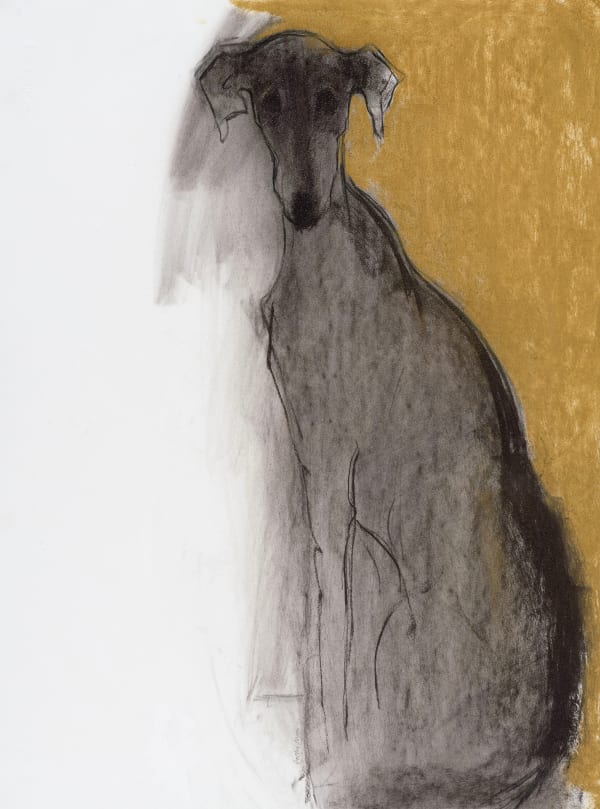 Sally Muir, Pedro