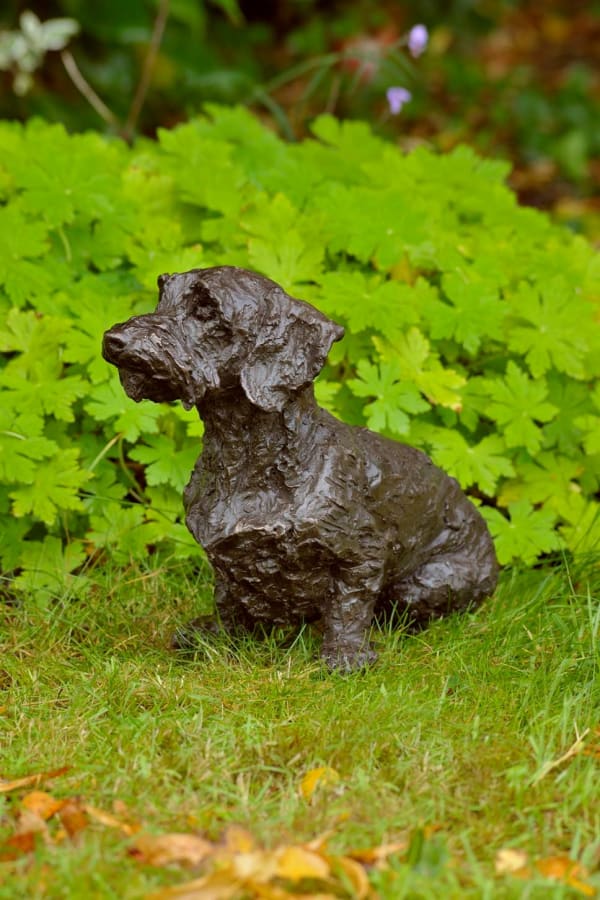 Rosemary Cook, Brillo - Wirehaired Dachshund