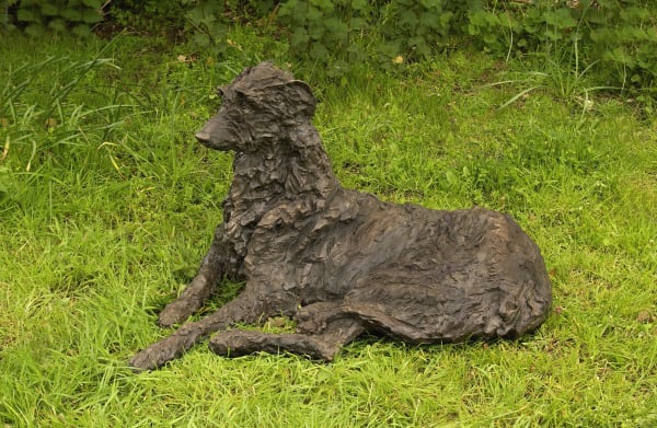 Rosemary Cook, Iolanthe - Deerhound