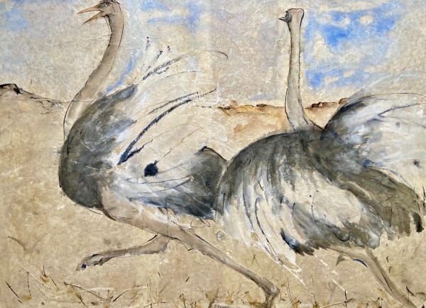 Christine Seifert, Ostrich Chase (Hungerford Gallery)