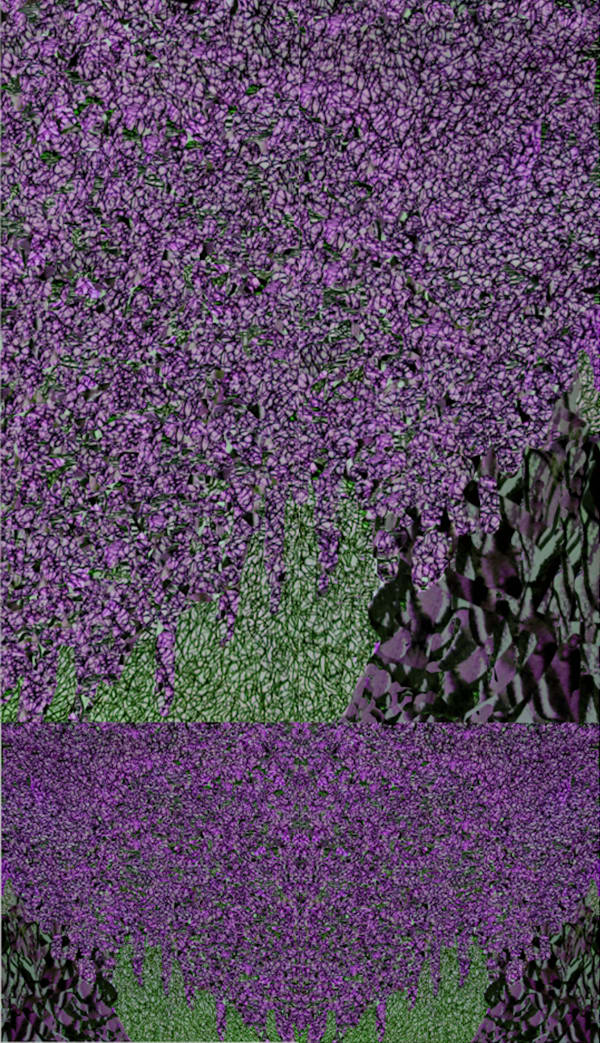 Wisteria Purple , 2024