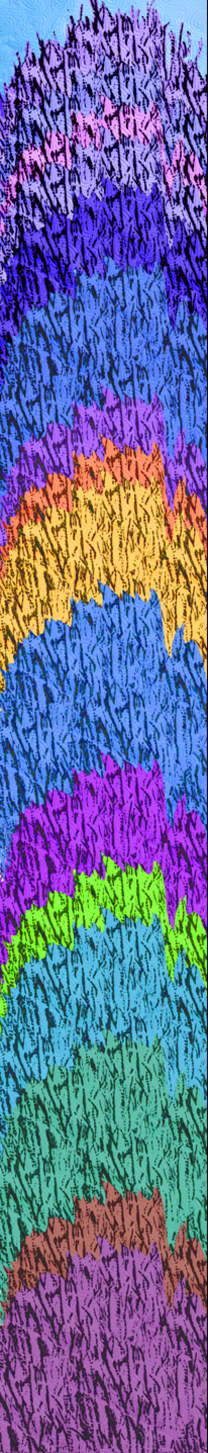 Purple Shower Tree , 2024
