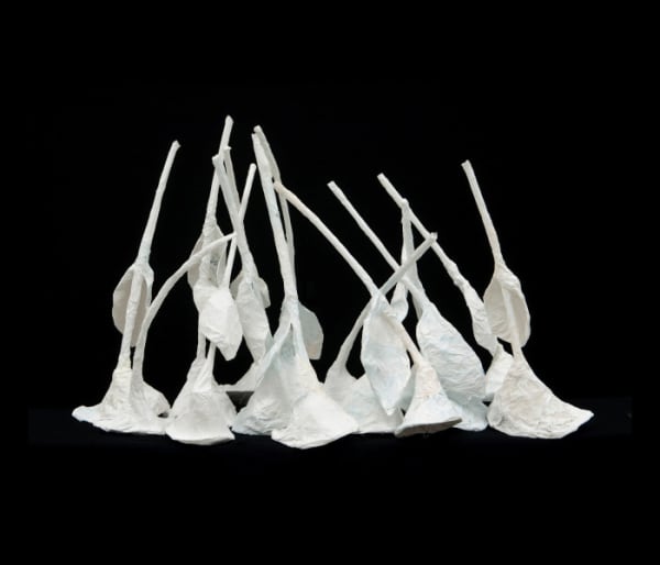 Untitled (Stem) , 2018