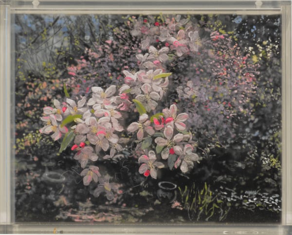 Crabapple, 3 Evenings, 2022