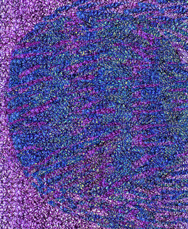 In the Wind , 2024