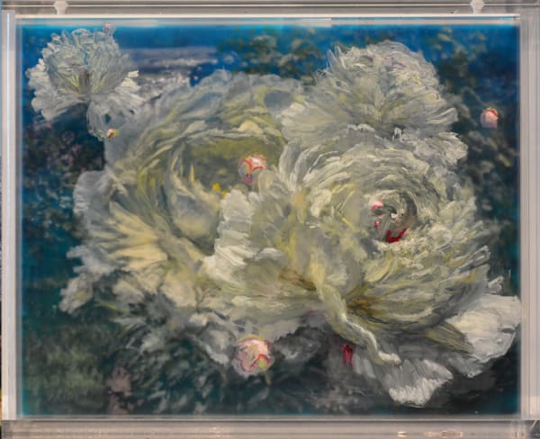 Peonies, Three Afternoons , 2021