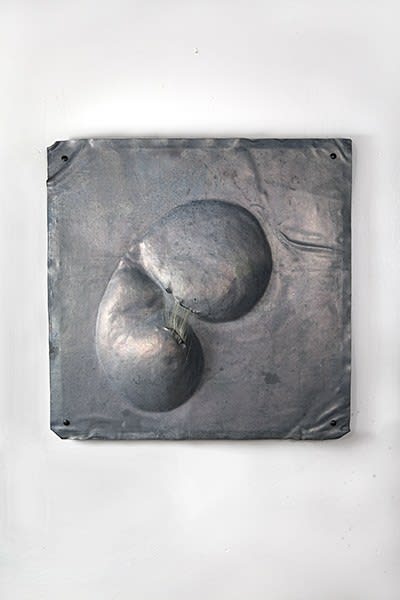 Millicent Young, canto for the anthropocene 40- Aleph, 2018