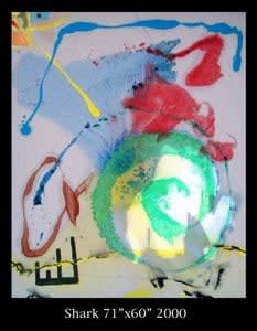 Shark, 2000