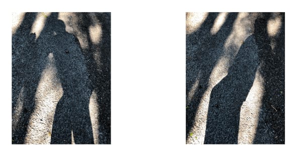 Shadows 11, 2021