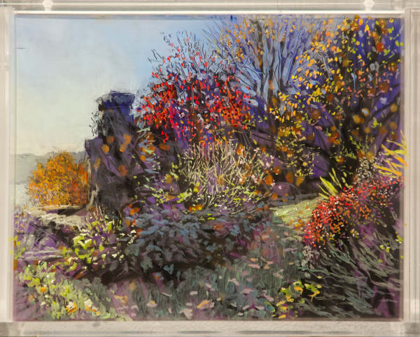 Garden, November, Afternoon Over Evening