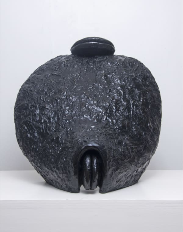 Black Venus, 2014
