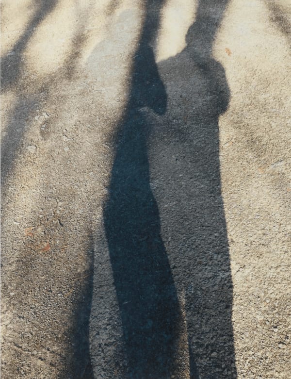 Shadows 01, 2021