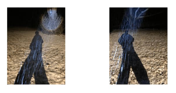 Shadows 13, 2021