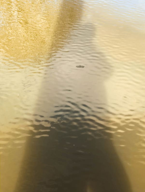 Shadows 08, 2021
