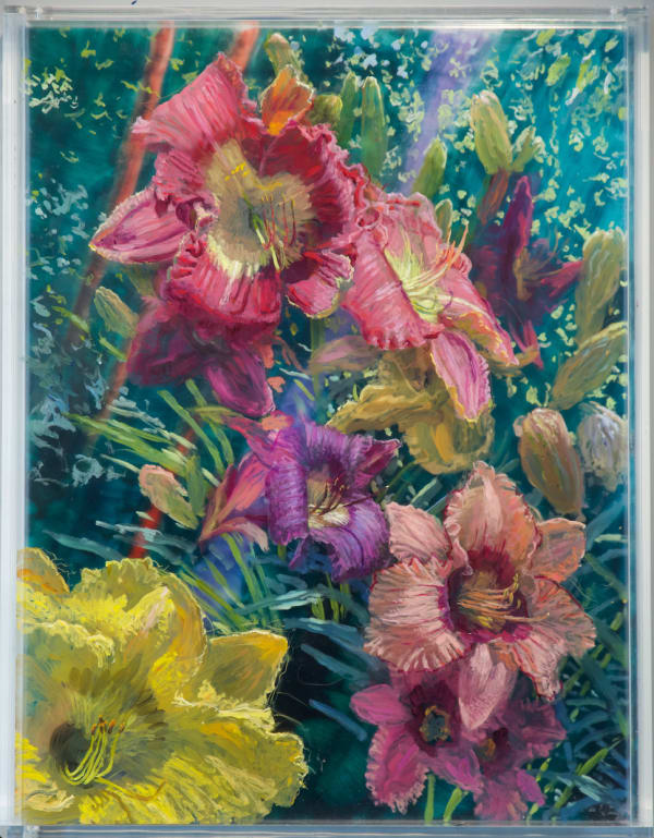Day Lilies, Mid-Day Over Morning , 2022