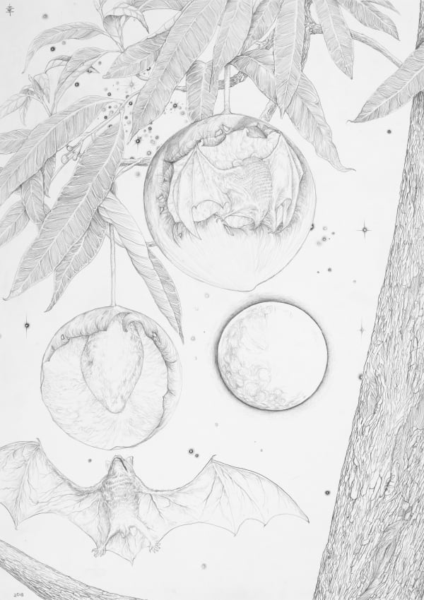 Chang Yoong Chia, Mangifera Indica, 2018
