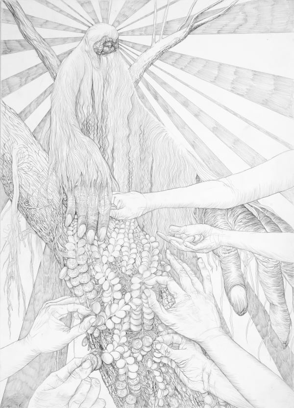 Chang Yoong Chia, Pyrrosia Piloselloides, 2018