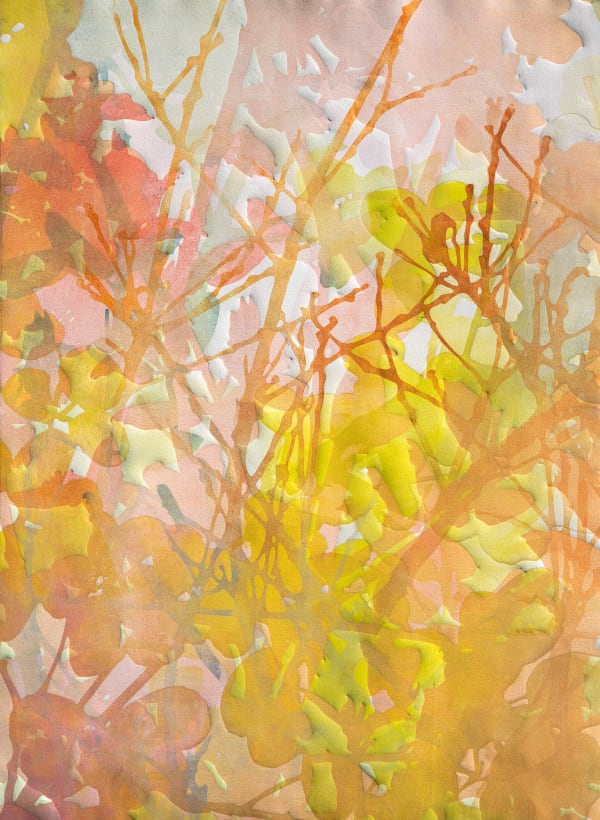 Katherine Warinner - Rose Thicket 2, 2024
