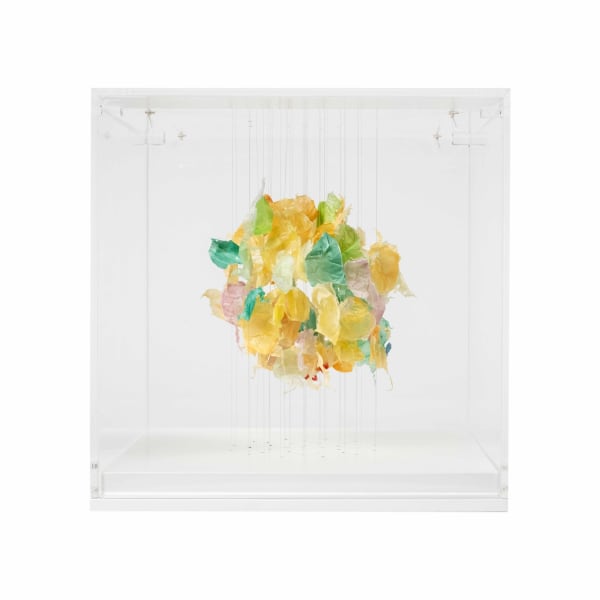 Claire Morgan, Pale, 2022