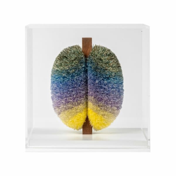 Will Cruickshank Thread Spectrum No.3 , 2022 Perspex cube, sewing thread and wood 20 x 20 x 20cm