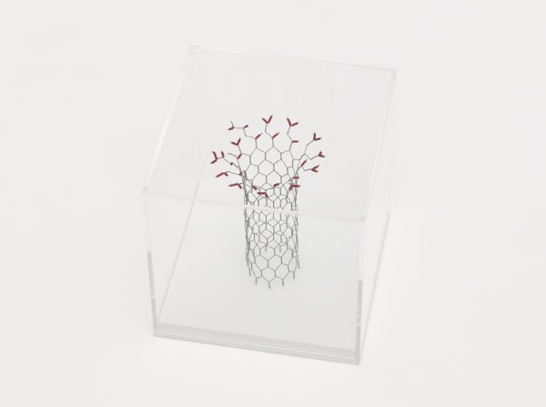 Mona Hatoum, Untitled (C3), 2020