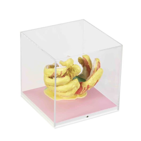 Juliana Cerqueira Leite, Dishes, 2017