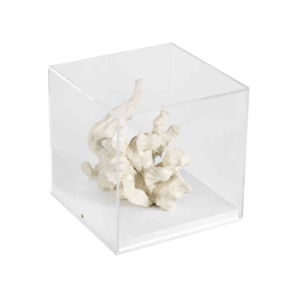 Sissi, Bone sprout, 2014