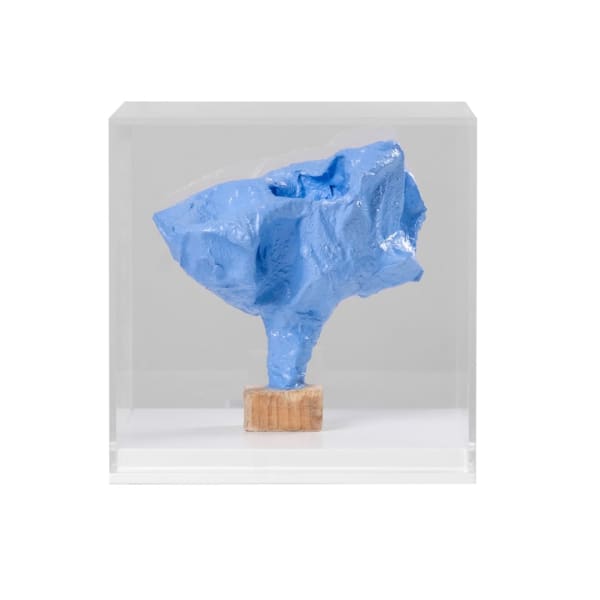 Ashley Cluer Potential to Grow, 2024 Cement, salvaged timber, oil paint 20x20x20cm