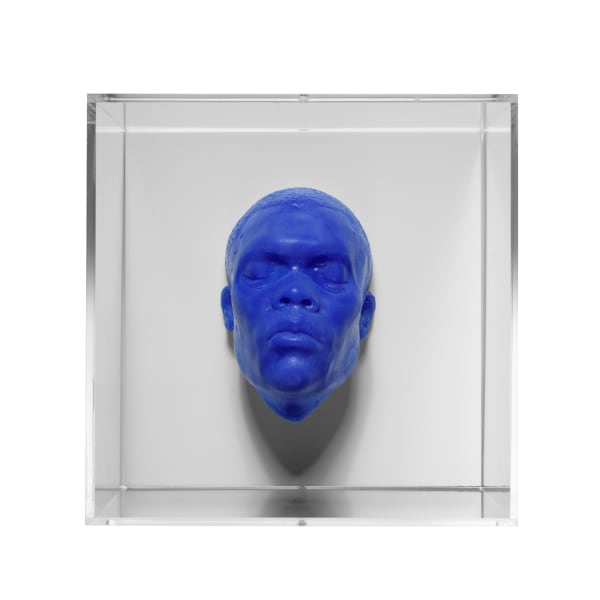 Thomas J Price, Contemplation of a Changing Form, 2018