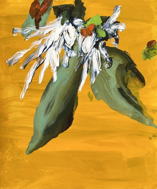 Gaël Davrinche, F5, 2022