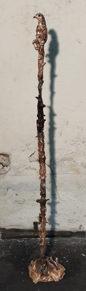 Lionel Sabatté, Champ d'oiseau du 06-03-2023, 2023