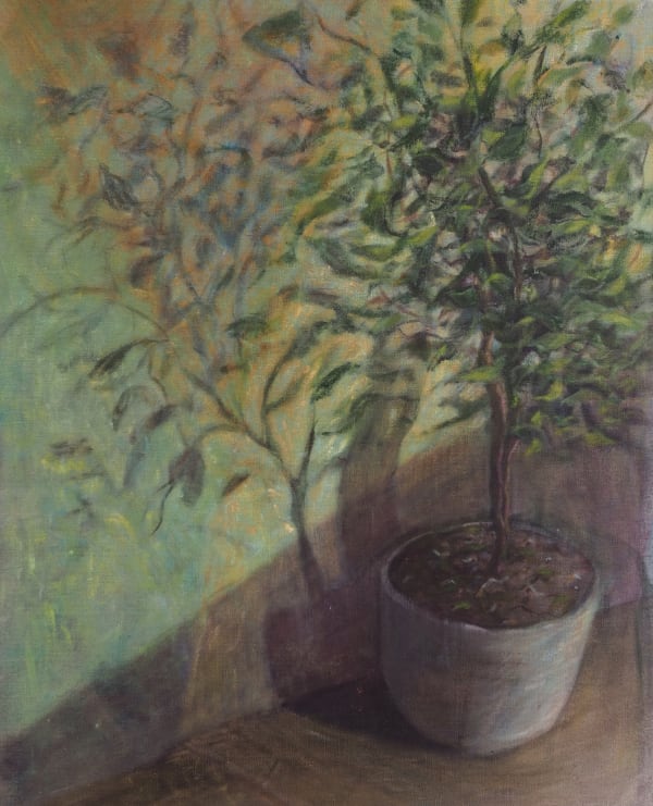 Faris Heizer, Home Plant, 2024