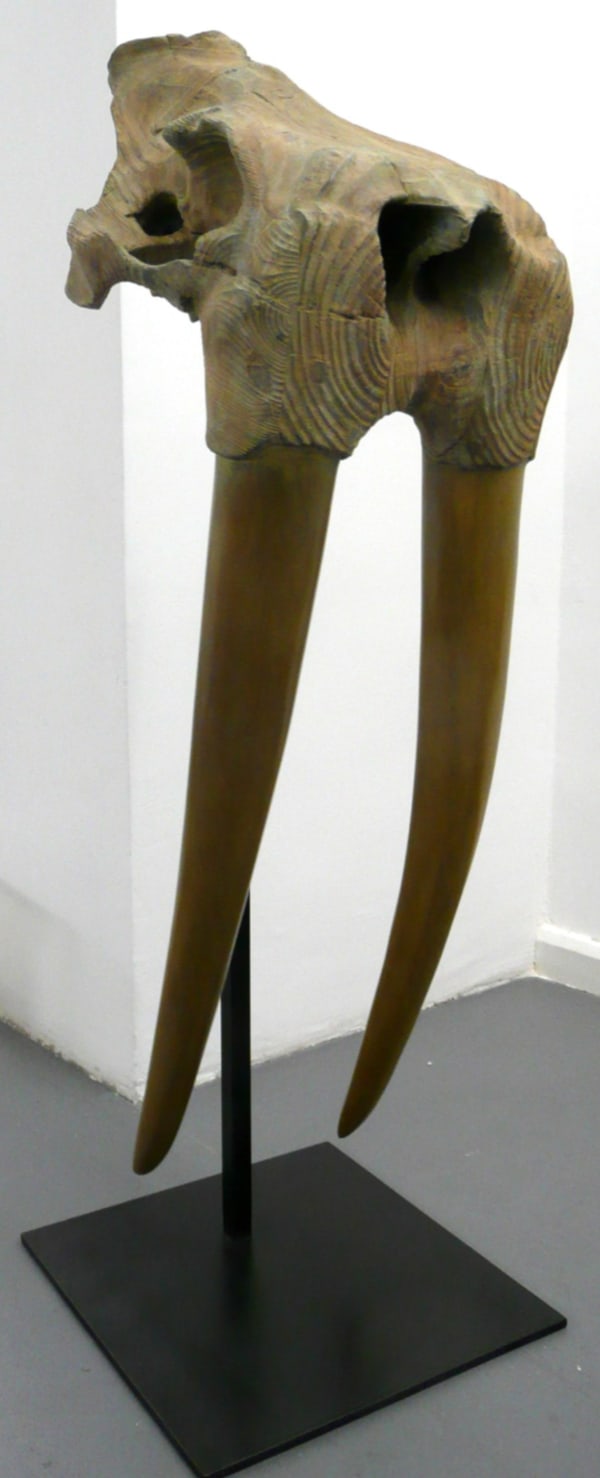 Quentin Garel, MORSE I (WALRUS), 2010