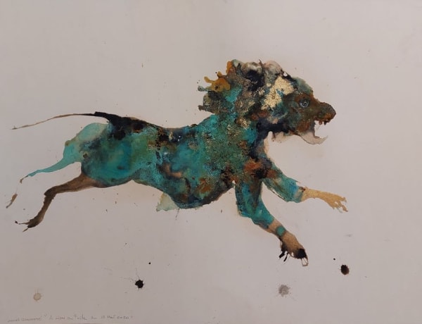 Lionel Sabatté, Lion en fuite du 15 mai, 2020