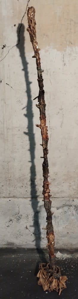 Lionel Sabatté, Champ d'oiseau du 01-06-2022, 2022