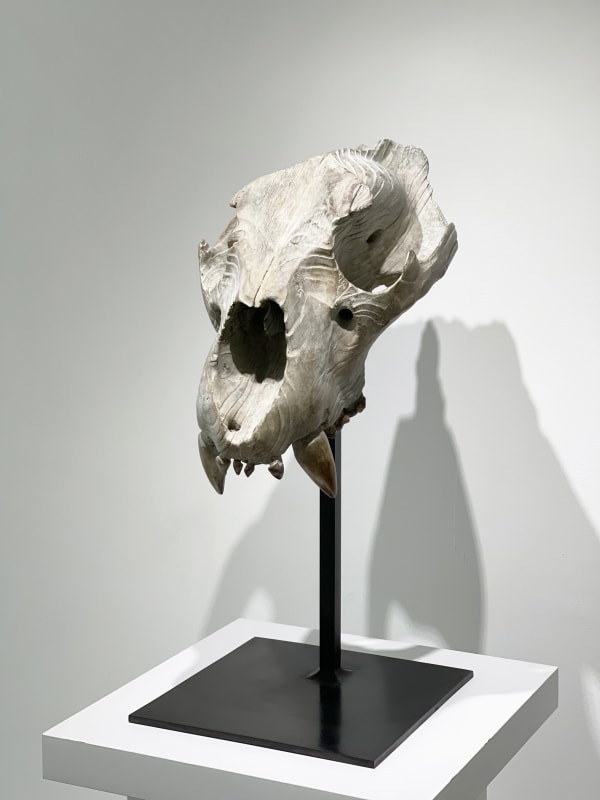 Quentin Garel, Skull of the Lion, 2012