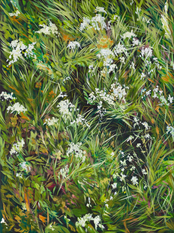 Daisy McMullan, Desire Line , 2024
