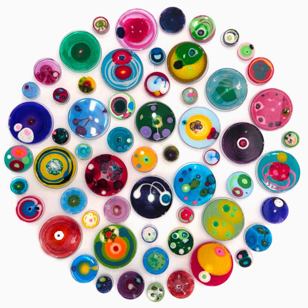 Klari Reis, Hypochondria, 60, 2025