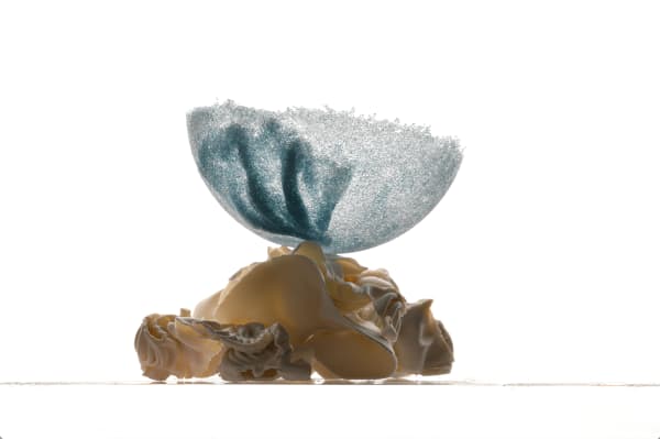 Valerie Bernardini, washed ashore, 2022