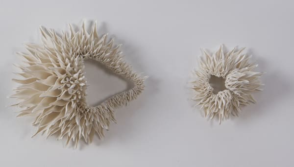 Nuala O'Donovan, Teasel, Wall Piece – Sequence 3, 2019