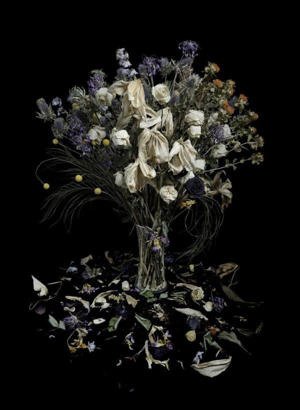 John Phillips, Vanitas XXI, 2016