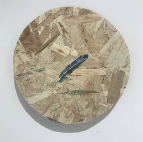 Artist of the Week | Alastair Gordon
