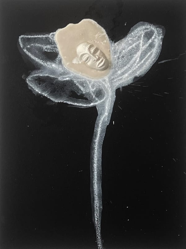 EVEWRIGHT, tulpenmanie: £££ KISSI PENNY $$$ , 2025