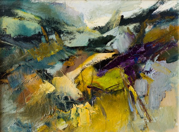 Tuëma Pattie, Sally Gap.Co.Wicklow - Ireland, 2014