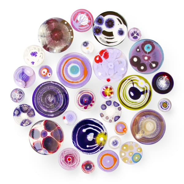 Klari Reis, Hypochondria, 30 (Purple), 2016